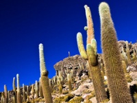 Владельцы LiveJournal освоят туристический бизнес