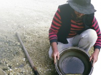 Sophos подставили спамеры-сеошники 